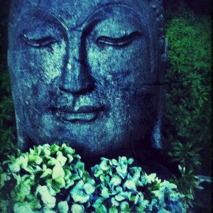 Blue Buddha in Hydrangea